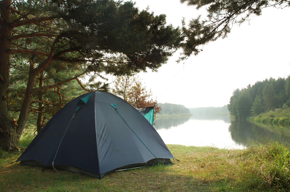 Pitched camping tent on a grassy spot under a tree overlooking a woodland lake.
