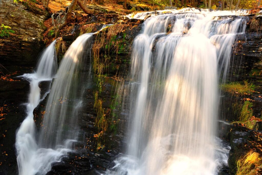 View of the surrounding forest and waterfalls.