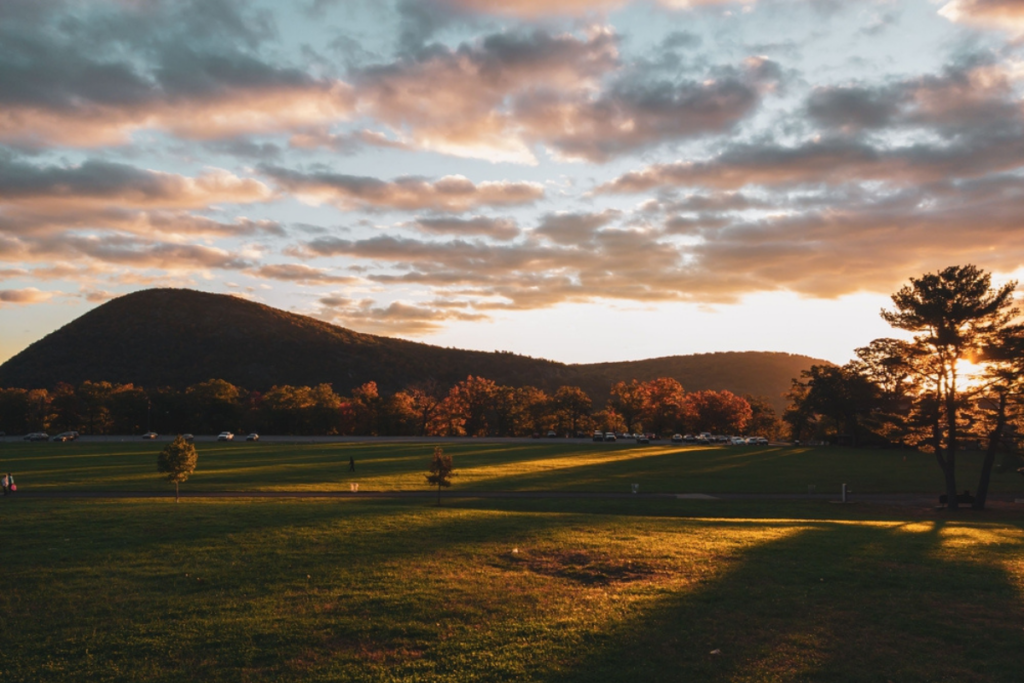 A view of a hill park with trees and a hill.