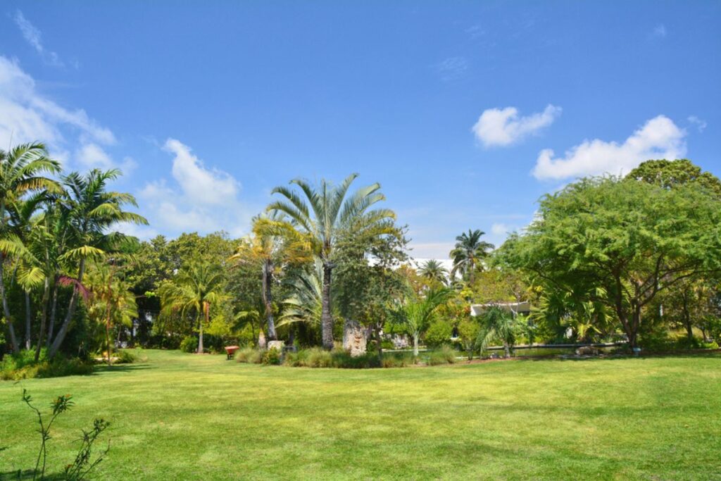Photo of Botanical garden in Miami.