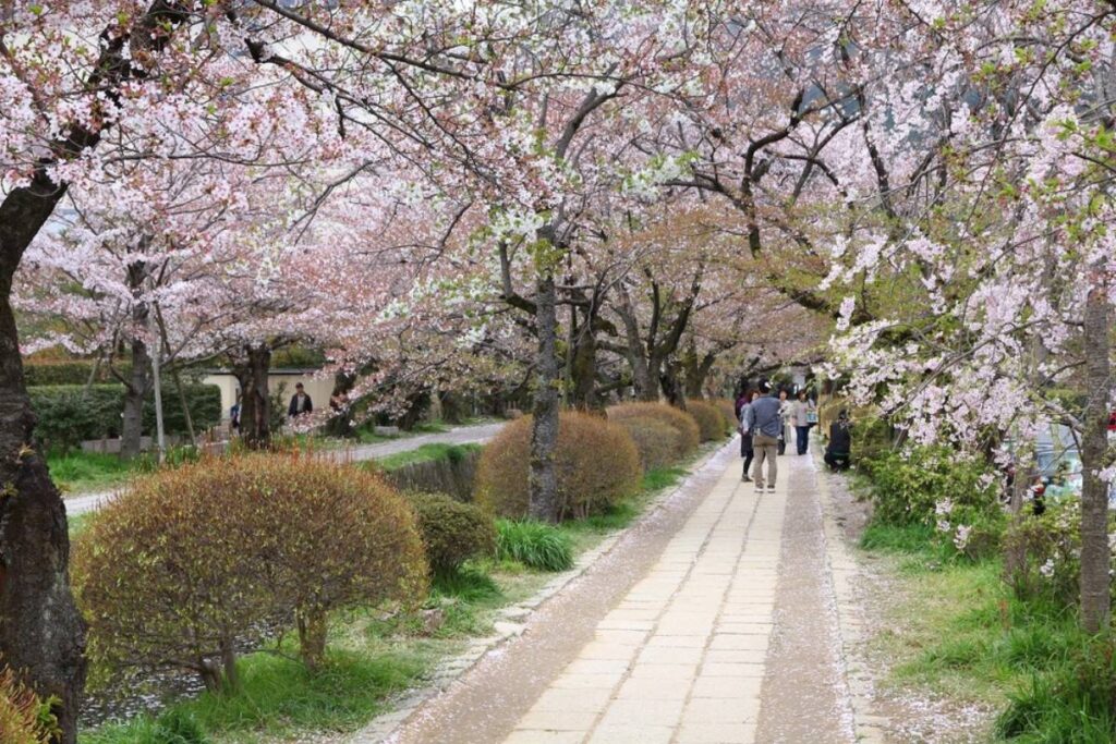Photo of The Philosopher’s Path, Japan.