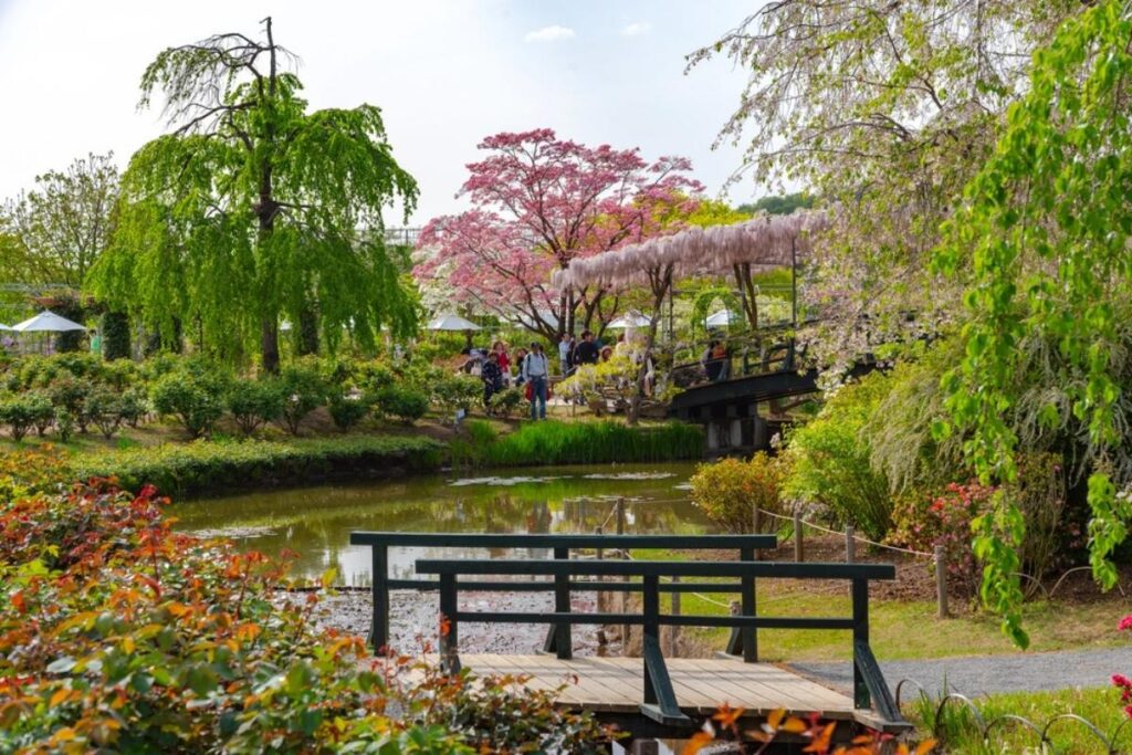 Photo of Ashikaga Flower Park, Japan.