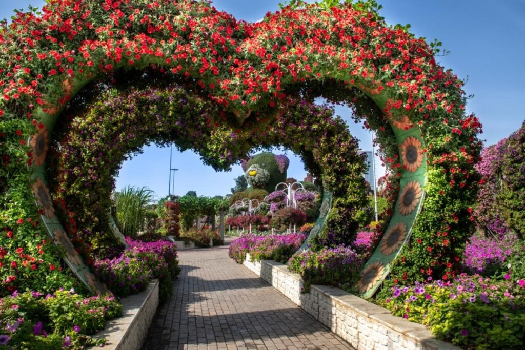 Photo of Dubai Miracle Garden, UAE.