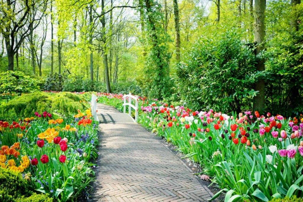 Photo of Keukenhof Gardens, Netherlands.